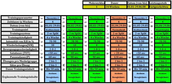 Hausarbeit Fitnesstrainer B Lizenz: Makrozyklusplanung