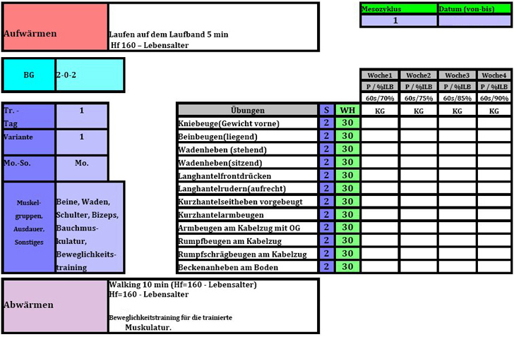 Hausarbeit Fitnesstrainer B Lizenz  Meso-und Mikrozyklus - Trainingstag 1 Variante 1