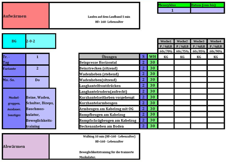 Hausarbeit Fitnesstrainer B Lizenz  Meso-und Mikrozyklus - Trainingstag 1 Variante 2