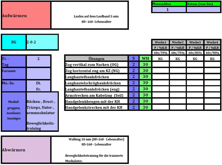 Hausarbeit Fitnesstrainer B Lizenz  Meso-und Mikrozyklus - Trainingstag 2